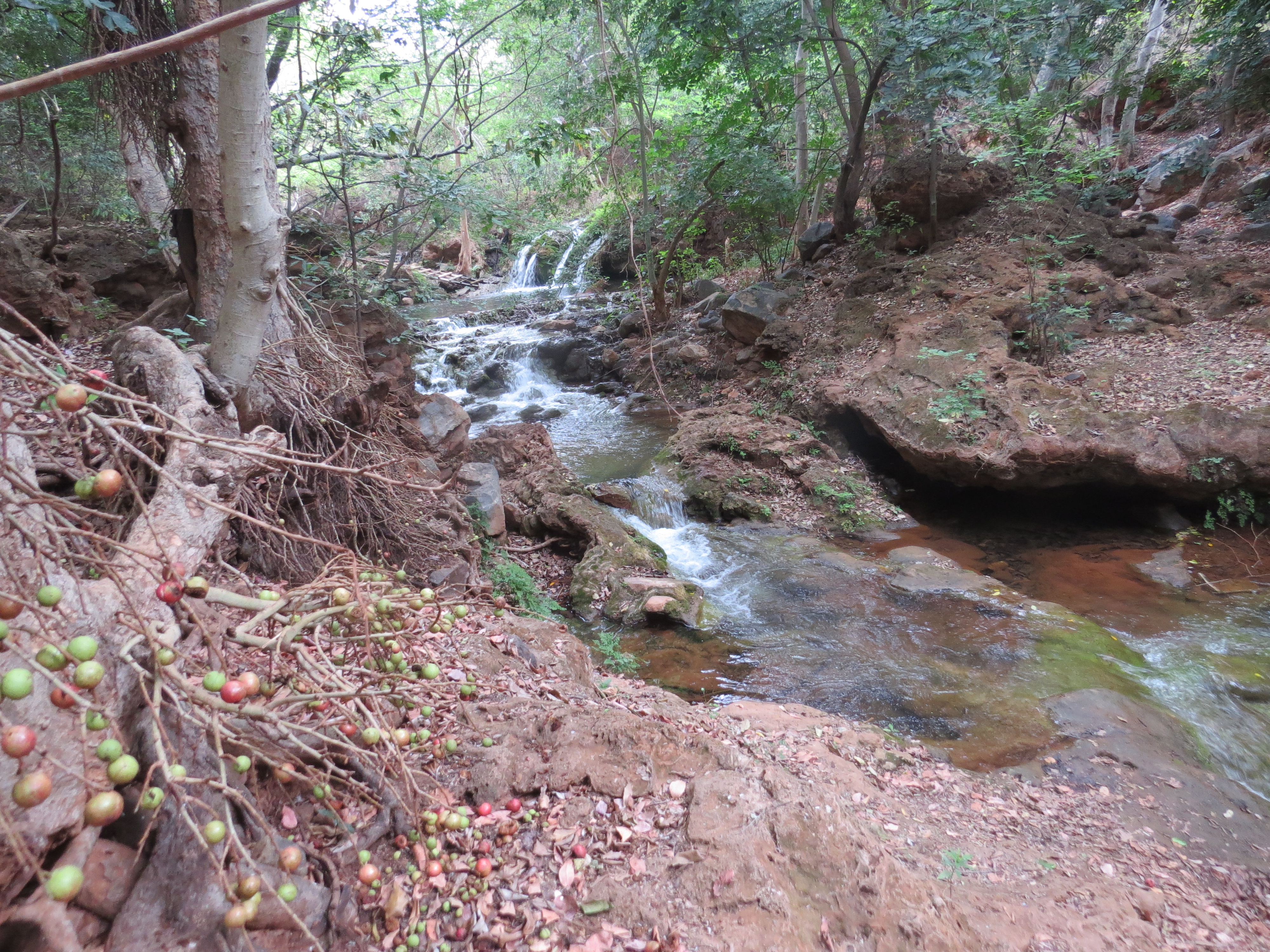 mountain-stream