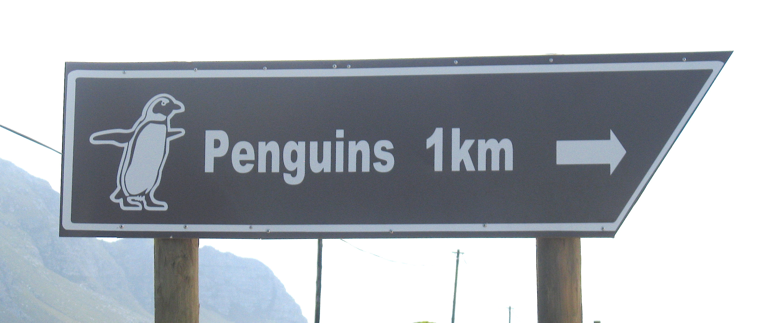 penguins-sign
