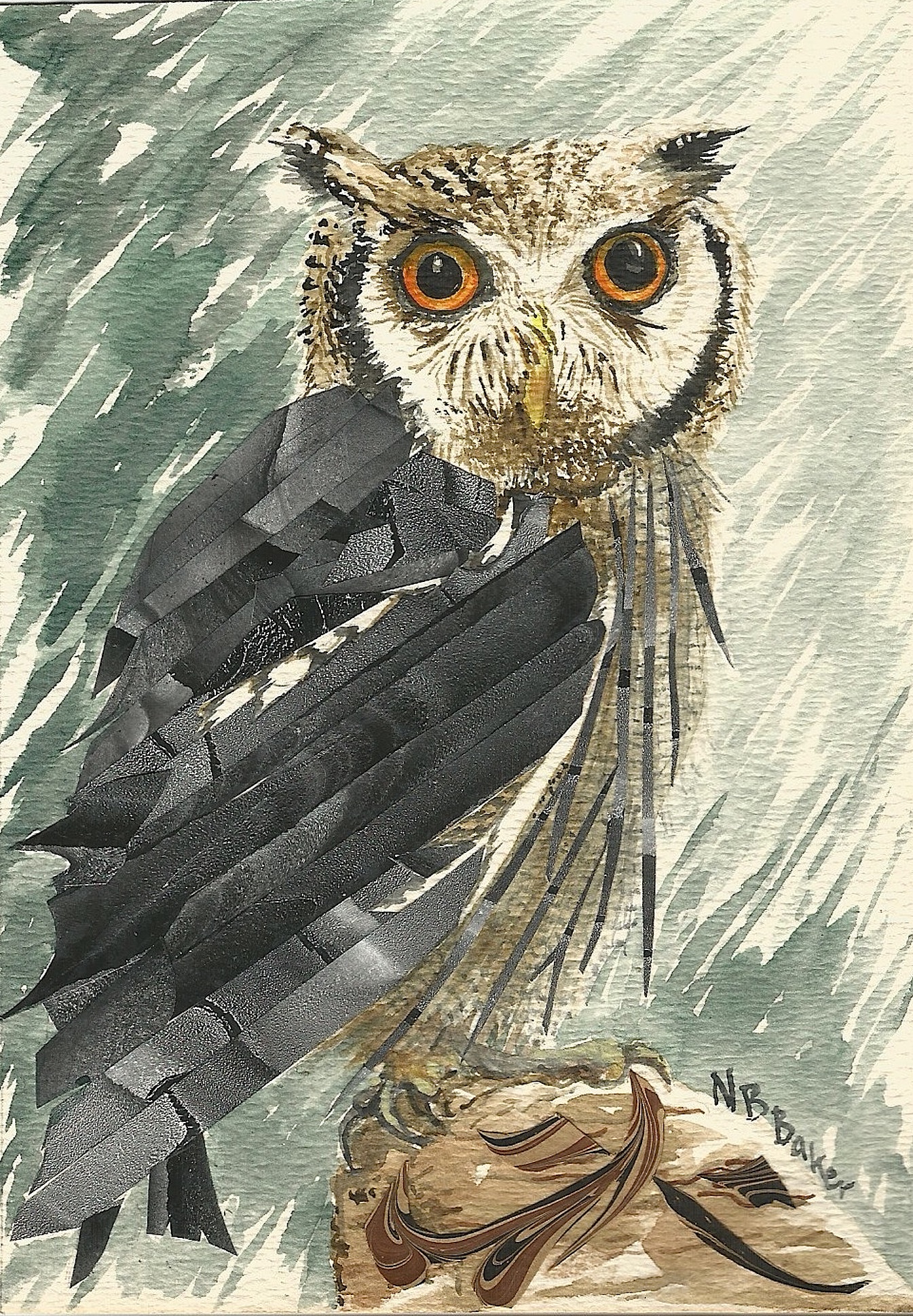 Southern White-fronted Owl